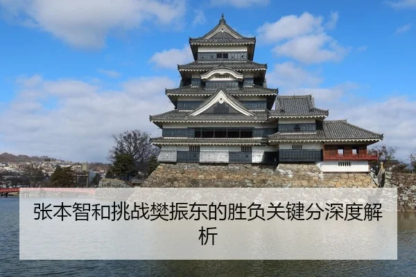 张本智和挑战樊振东的胜负关键分深度解析